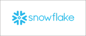 Snowflake-partners